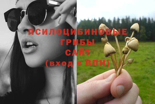 сатива Богданович